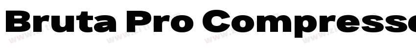 Bruta Pro Compresse字体转换